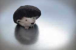 Hérisson. En attente de stock mais peut être commandé. Délai 1 mois. h : 7 cm, 39 euros