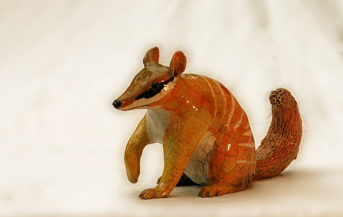 Numbat, L : 24 cm, h : 17 cm