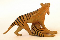 Thylacine, vue arrière