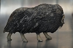 Bœuf Musqué - Grès Raku - L : 30 cm H : 19 cm