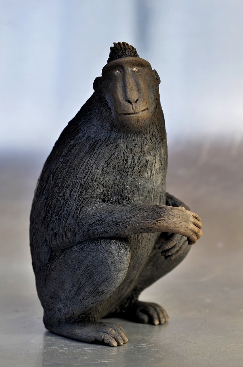 Macaque noir de Sulawesi. Grès enfumé. H:25 cm